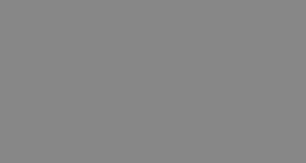 grau_schmal